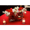 Romantic setting with red table cloth decor