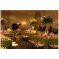 apple green square linens