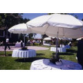 White tablecloths with umbrella holes and matching napkins/umbrella.